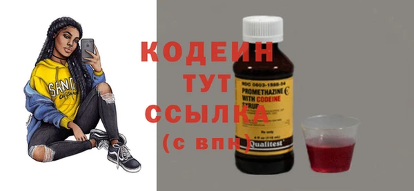 молекула духа Покачи