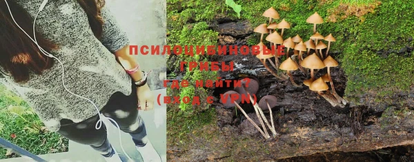 ешки Абдулино
