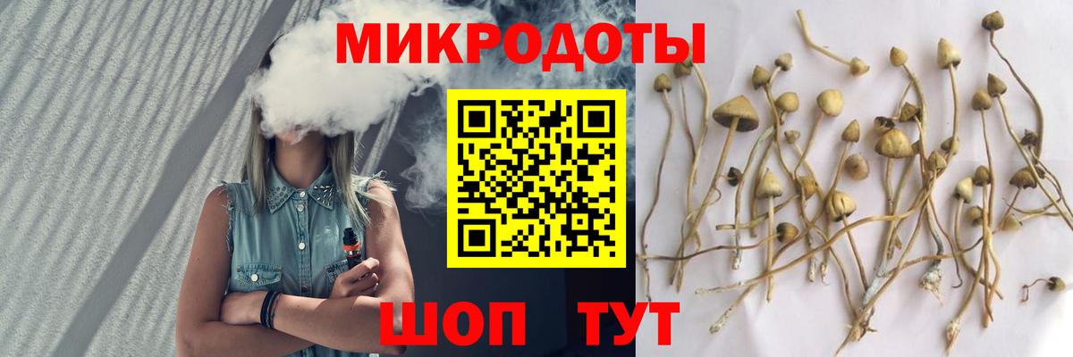 Кумертау  Псилоцибиновые грибы прущие грибы  Вход с VPN 